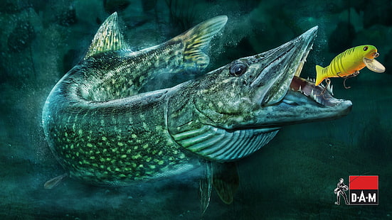 сива риба DAM тапет, риболов, риба, стръв, щука, HD тапет HD wallpaper