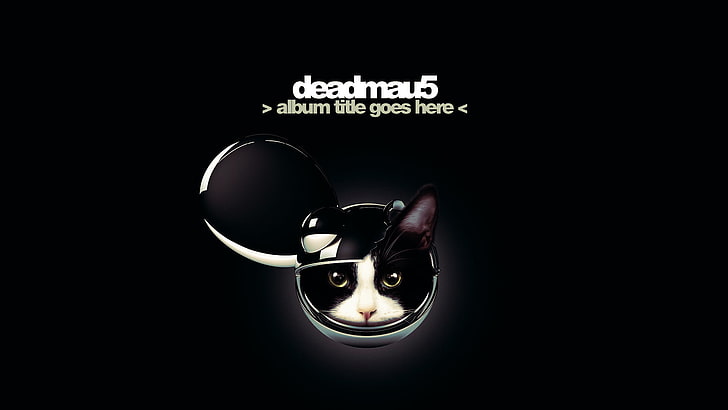 Deadmau5 logo, Minimalism, Music, Cat, Black, Electro House, Deadmau5, Dead Mouse, Deadmaus, Album Title Goes Here, Progressive House, Joel Thomas Zimmerman, HD wallpaper