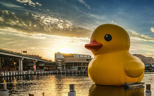 Rubber duck city, yellow inflatable baby duck, funny, rubber, duck, city, HD wallpaper HD wallpaper