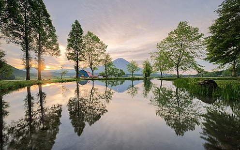 grünblättrige Bäume, Landschaft, Natur, Japan, Bäume, Reflexion, Berge, Gras, Wasser, Teich, Frühling, HD-Hintergrundbild HD wallpaper
