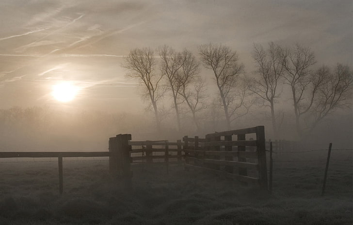 природа, фотография, пейзаж, утро, туман, солнечный свет, осень, забор, деревья, ворота, поле, трава, облака, Бельгия, HD обои