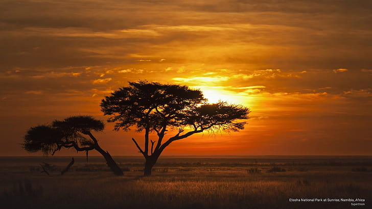 Etosha National Park at Sunrise, Namibia, Africa, Africa, HD wallpaper