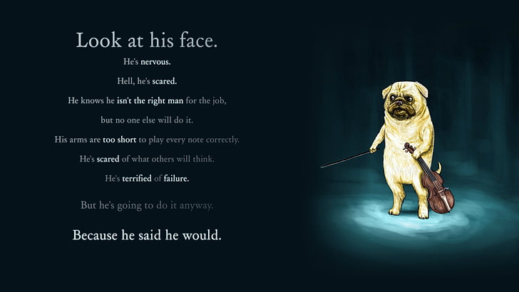 look at his face. text, motivational, Adventure Time, pug, HD wallpaper