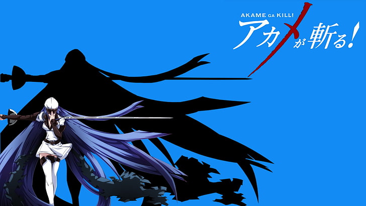 ภาพประกอบอนิเมะ Akame Ga Kill, Esdeath, Akame ga Kill!, วอลล์เปเปอร์ HD