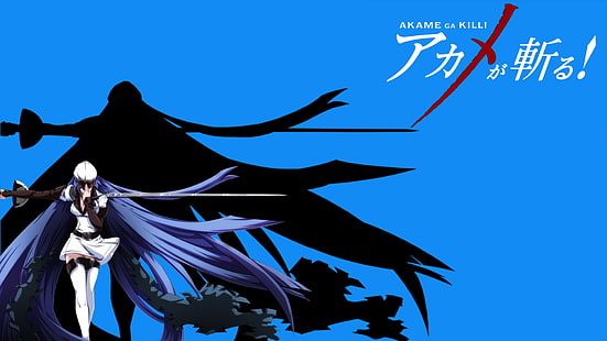 Akame Ga Kill anime illustration, Esdeath, Akame ga Kill!, HD tapet HD wallpaper