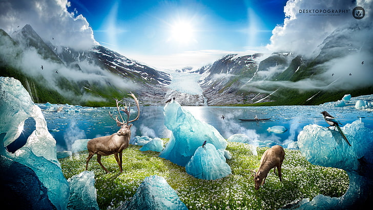 Melting Northern arctic Polar Ice Caps, Polar, Northern, Arctic, Ice, Melting, Caps, HD wallpaper