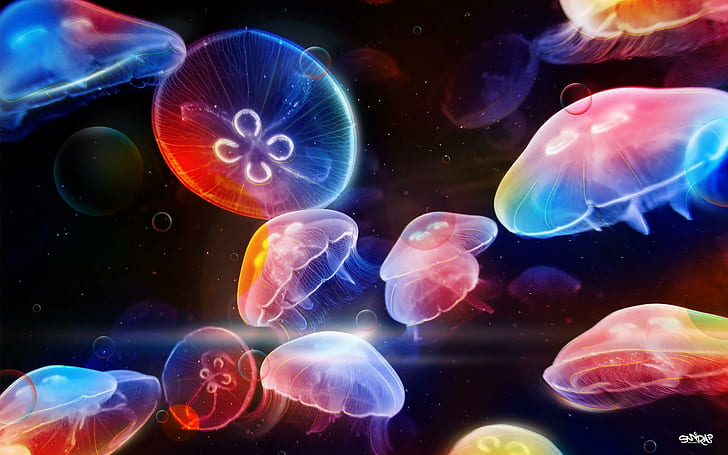 Underwater Jellyfishes, underwater, jellyfishes, HD wallpaper