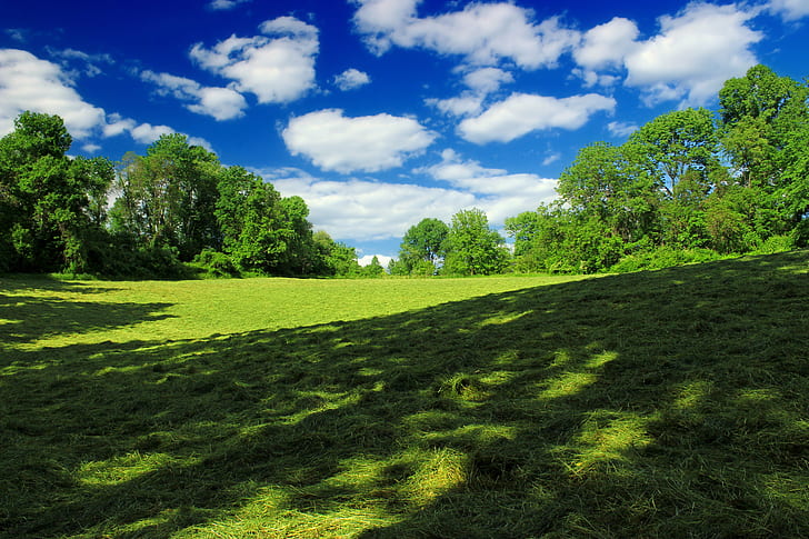 green grass landscape photography, Texter, Mountain, Nature Preserve, Revisit, green grass, landscape photography, Pennsylvania, Lancaster County, Conservancy, hiking, field, meadow  grass, grass  trees, sky, clouds, cumulus, spring, creative commons, nature, grass, outdoors, meadow, summer, tree, green Color, blue, landscape, scenics, HD wallpaper