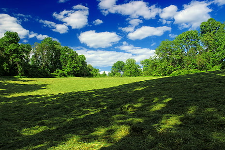 green grass landscape photography, Texter, Mountain, Nature Preserve, Revisit, green grass, landscape photography, Pennsylvania, Lancaster County, Conservancy, hiking, field, meadow  grass, grass  trees, sky, clouds, cumulus, spring, creative commons, nature, grass, outdoors, meadow, summer, tree, green Color, blue, landscape, scenics, HD wallpaper HD wallpaper