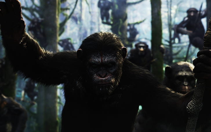 Dawn of the Planet of the Apes Movie, rise of planet apes, Planet of the Apes, HD wallpaper