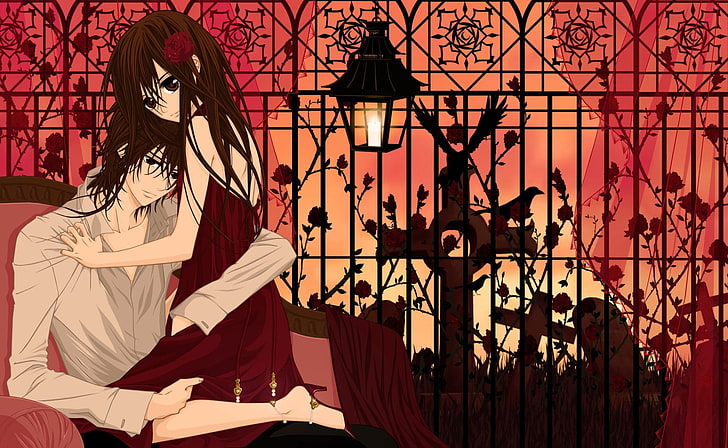 male and female animated character getting intimate illustration, Anime, Vampire Knight, HD wallpaper