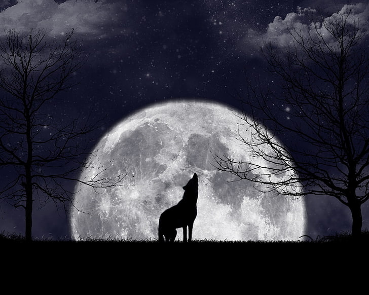 moon wolves 1280x1024  Space Moons HD Art , Moon, wolves, HD wallpaper