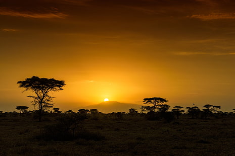 โลกพระอาทิตย์ขึ้นแอฟริการุ่งอรุณเนินเขาสะวันนาแทนซาเนียต้นไม้, วอลล์เปเปอร์ HD HD wallpaper