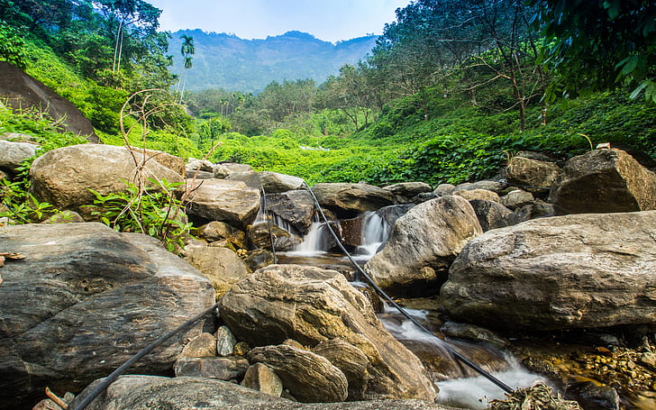 Rocks Stones Forest Jungle Stream HD, przyroda, las, skały, kamienie, strumień, dżungla, Tapety HD