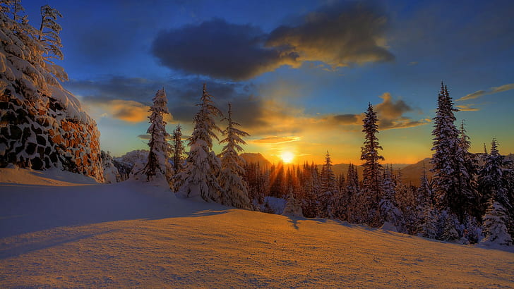 ağaçlar, kış, kar, güneş ışığı, bulutlar, akşam, kutup gecesi, Finlandiya, doğa, HD masaüstü duvar kağıdı