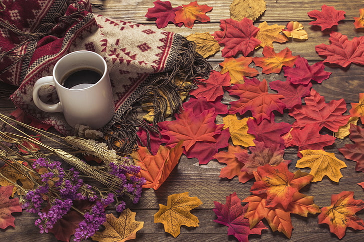 autumn, leaves, flowers, background, tree, coffee, colorful, scarf, Cup, wood, maple, HD wallpaper