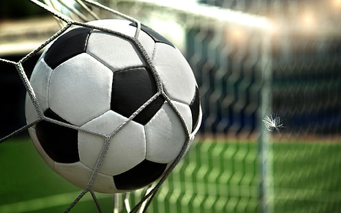 bola de futebol preto e branco, pena, futebol, objetivo, bola, rede, HD papel de parede HD wallpaper
