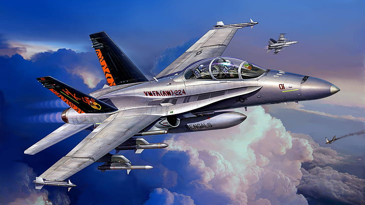 attack, McDonnell Douglas, F/A-18D, American carrier-based fighter-bomber, Hornet Wild Weasel, double combat trainer version of the F/A-18C, HD wallpaper