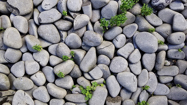 pebbles lot, stones, nature, closeup, HD wallpaper