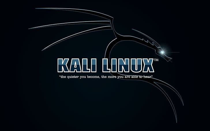 Kali Linux, fundo azul escuro, kali linux, fundo azul escuro, HD papel de parede