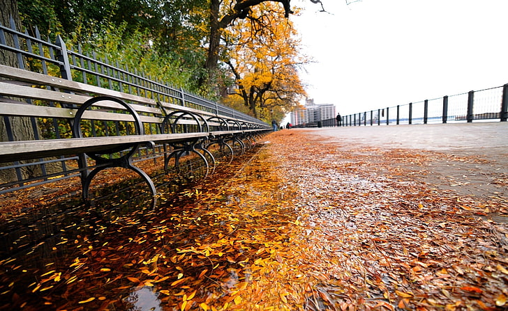 Row of Benches, Autumn, black steel bench, City, Autumn, Benches, HD wallpaper