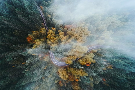 Luftaufnahmen der Straße von Bäumen umgeben Tapete, Landschaft, Natur, Oregon, Wald, Straße, Autobahn, Herbst, Nebel, Drohne, Luftbild, Bäume, HD-Hintergrundbild HD wallpaper