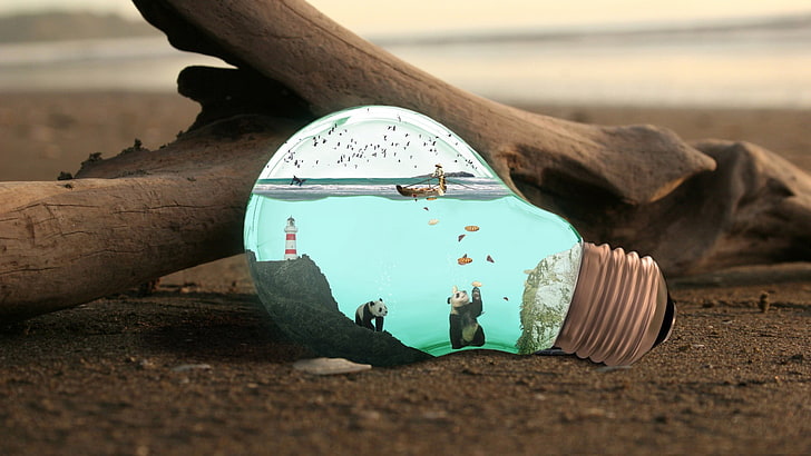 bola lampu kaca, bola lampu, seni digital, panda, kayu, mercusuar, Wallpaper HD