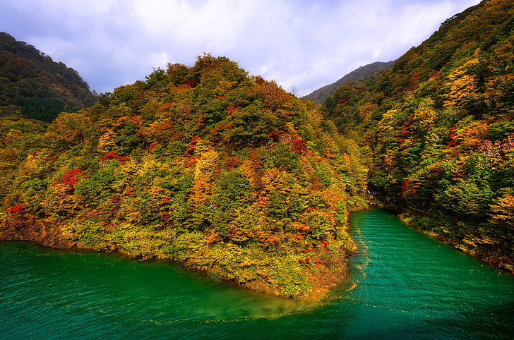 Forest island, autumn, forest, mountains, lake, Japan, Tazawa, HD wallpaper  | Wallpaperbetter