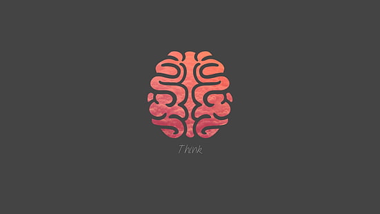 Gehirn, Minimalismus, HD-Hintergrundbild HD wallpaper