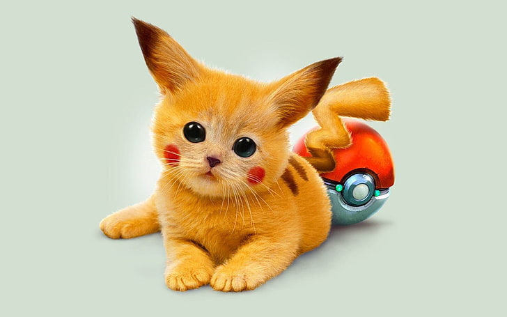 art kitty pokemon red eyed pikachu-Високо качество HD .., илюстрация на котка Pikachu, HD тапет