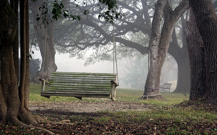 gray wooden hanging bench, park, swing, nature, HD wallpaper