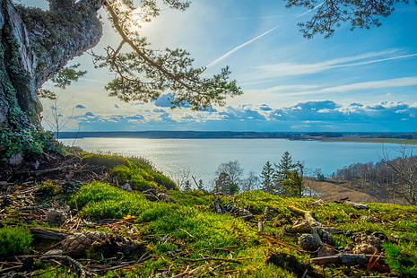 campo di erba verde, natura, paesaggio, estate, fiume, alberi, erba, nuvole, luce del sole, cielo, Svezia, Sfondo HD HD wallpaper