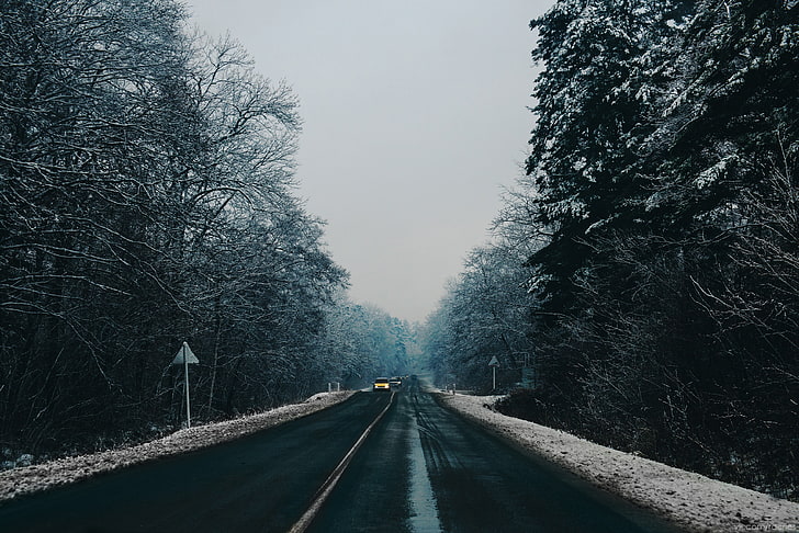 コンクリート道路、自然、冬、道路、木、雪、風景、 HDデスクトップの壁紙