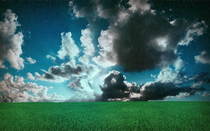 chmury nimbusowe, łąka, chmury, pole, deszcz, Tapety HD