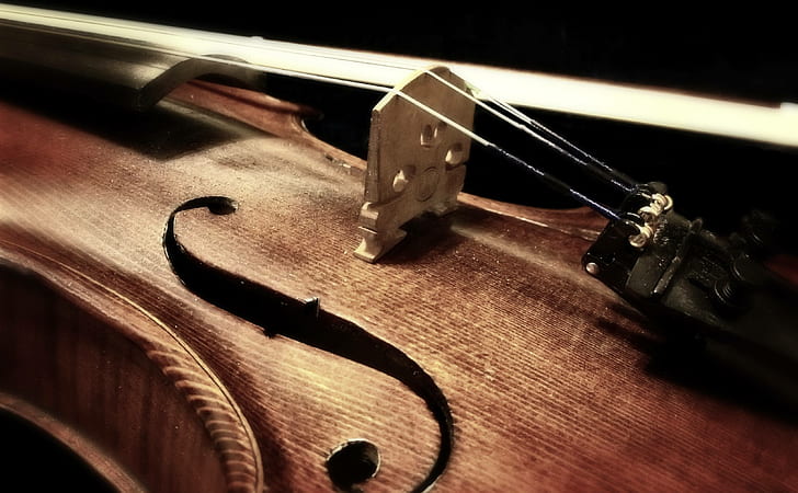 musical, instrument, music, violin, string, HD wallpaper