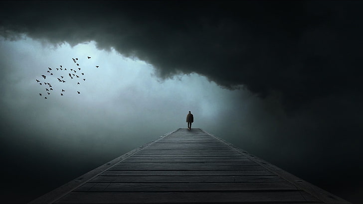 Alone, birds, clouds, Dark, loneliness, Sad, HD wallpaper