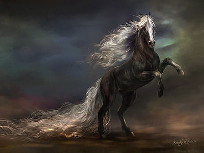 pintura de caballo negro, animal, caballo, negro, Fondo de pantalla HD HD wallpaper