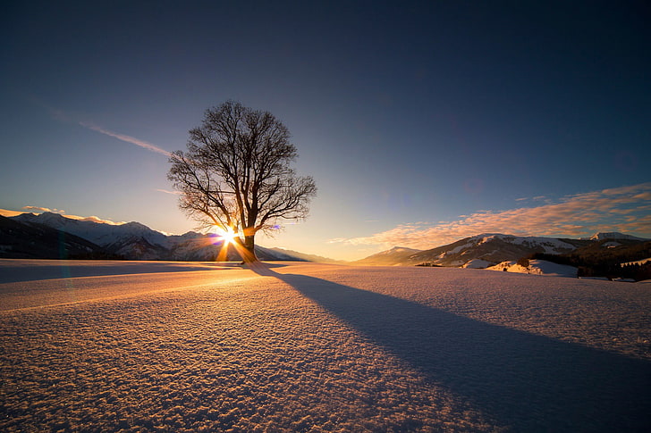 árvore na silhueta de neve durante o pôr do sol, natureza, paisagem, árvores, inverno, neve, montanhas, sol, sombra, nuvens, luz solar, HD papel de parede