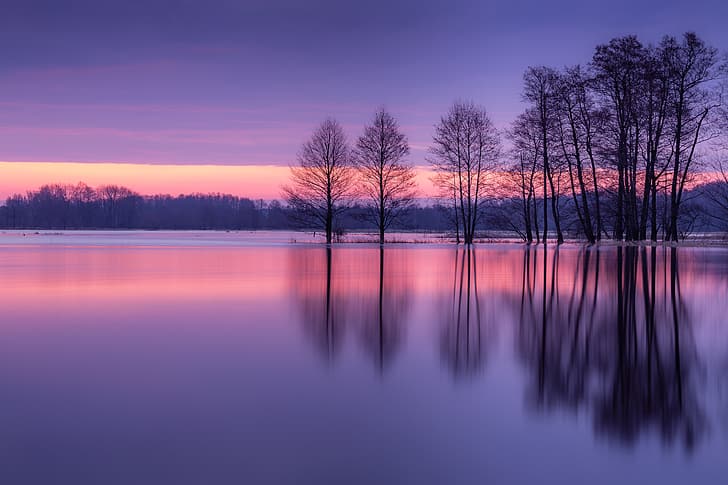 trees, sunset, reflection, river, Poland, Narew River, Река Нарев, HD wallpaper
