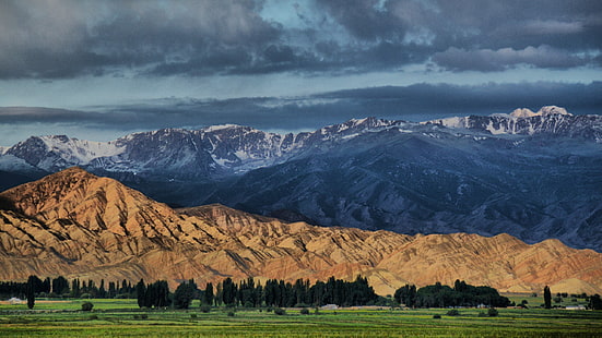 Kirghizistan, Monti Tien Shan, Alberi, Sfondo HD HD wallpaper