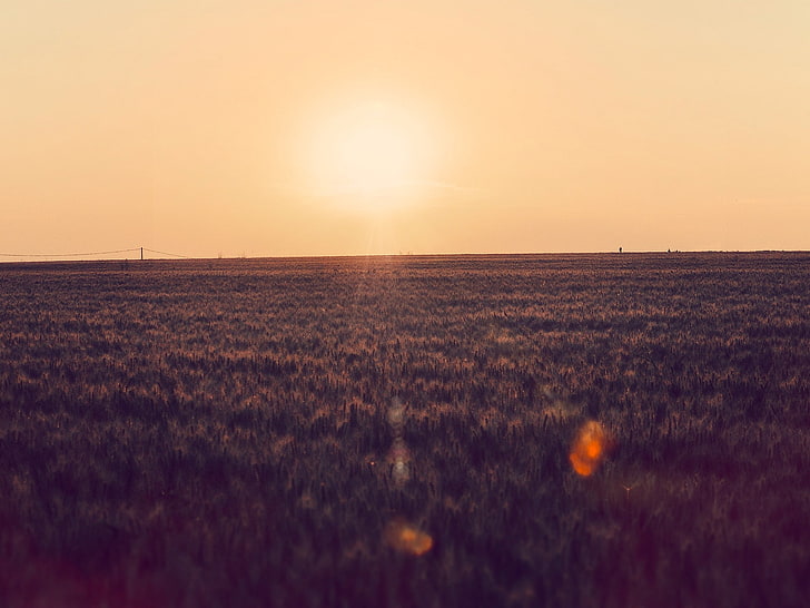 Klarer Himmel, Bauernhof, Feld, Landschaft, Lens Flare, Natur, Fotografie, Stromleitungen, Sonnenlicht, Sonnenuntergang, HD-Hintergrundbild