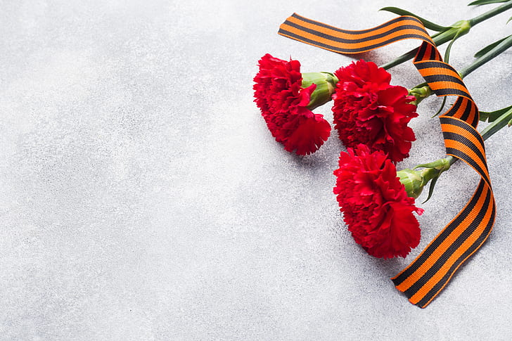 flowers, holiday, candles, victory day, St. George ribbon, May 9, carnation, HD wallpaper