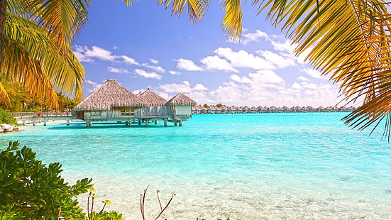 Тропически плаж Бора Бора Полинезия тапет за десктоп, HD тапет HD wallpaper