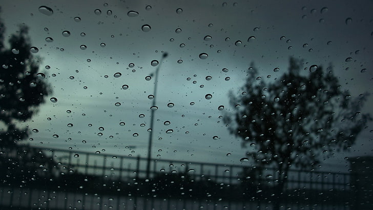 photography, trees, urban, water on glass, water drops, rain, HD wallpaper