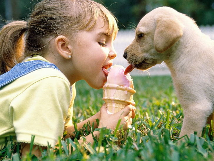 Ultimate Friendship, yellow Labrador retriever puppy, Funny, , funny wallpapers, HD wallpaper