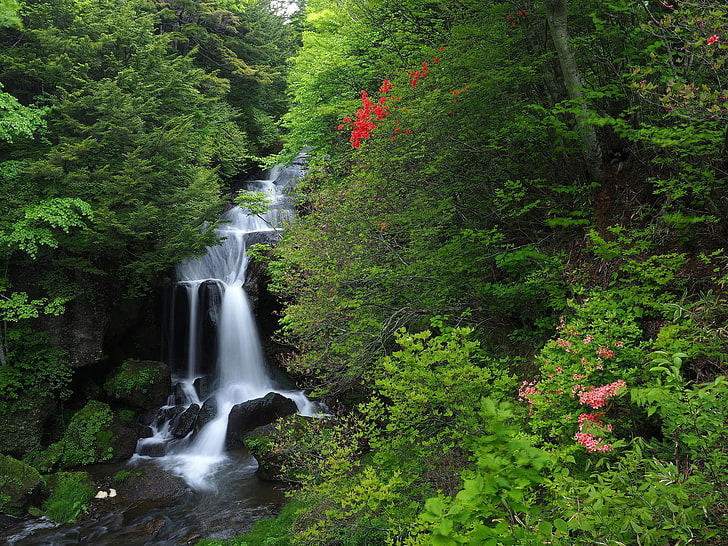 forest, waterfall, Japan, cascade, Honshu, Nikko National Park, National Park Nikko, HD wallpaper