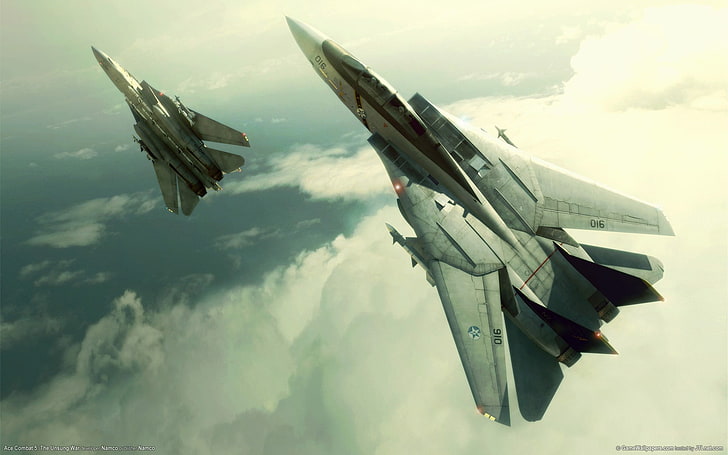 реактивные истребители серого цвета, F-14 Tomcat, Grumman F-14 Tomcat, реактивный истребитель, самолеты, военные самолеты, видеоигры, Ace Combat 5: The Unsung War, HD обои