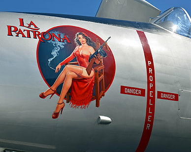 aircrafts, art, fighter, nose, pin up, plane, HD wallpaper HD wallpaper