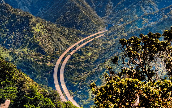 duas estradas entre montanhas e árvores, paisagem, natureza, oahu, havaí, rodovia, montanhas, HD papel de parede