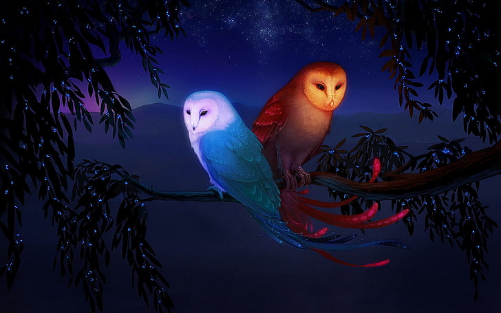 illustration av två ugglor, uggla, natt, fåglar, gren, HD tapet